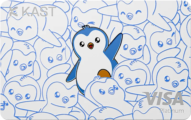 KAST Pengu White 실물 Visa 카드